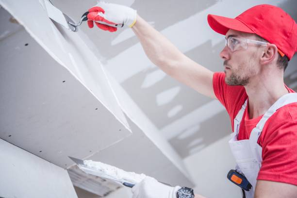 Best Drywall Repair  in USA